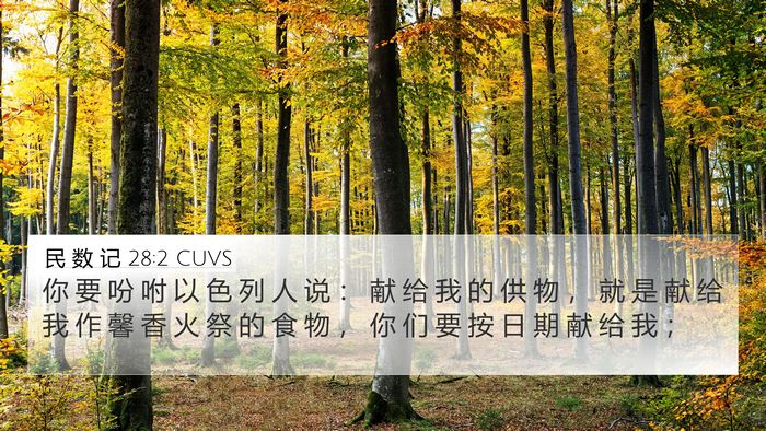 民 数 记 28:2 CUVS Bible Verse Image