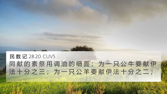 民 数 记 28:20 CUVS Bible Verse Image