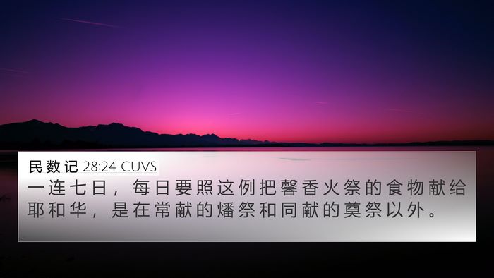 民 数 记 28:24 CUVS 4K Wallpaper - 一 连 七 日 ， 每 日 要 照 这 例 把 - 4K Wallpaper Bible Verse