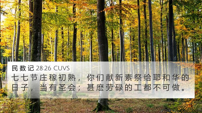 民 数 记 28:26 CUVS 4K Wallpaper - 七 七 节 庄 稼 初 熟 ， 你 们 献 新 - 4K Wallpaper Bible Verse