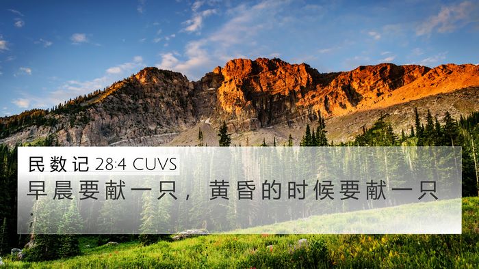 民 数 记 28:4 CUVS 4K Wallpaper - 早 晨 要 献 一 只 ， 黄 昏 的 时 候 - 4K Wallpaper Bible Verse
