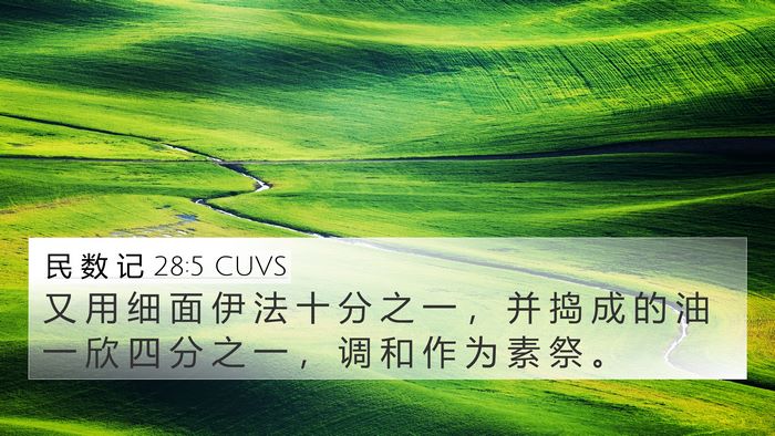 民 数 记 28:5 CUVS 4K Wallpaper - 又 用 细 面 伊 法 十 分 之 一 ， 并 - 4K Wallpaper Bible Verse