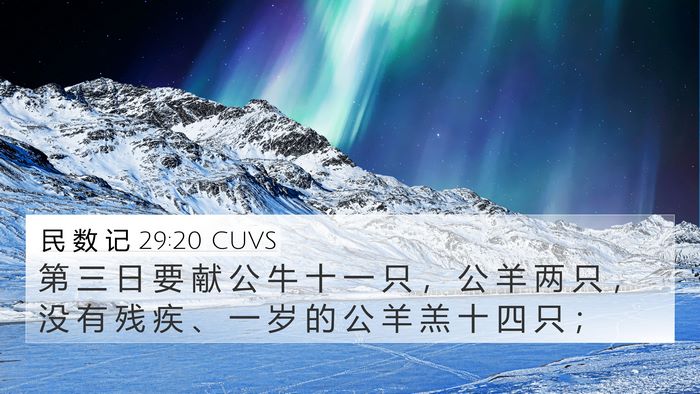 民 数 记 29:20 CUVS Bible Verse Image