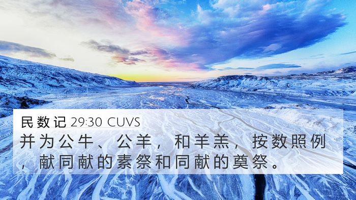民 数 记 29:30 CUVS 4K Wallpaper - 并 为 公 牛 、 公 羊 ， 和 羊 羔 ， - 4K Wallpaper Bible Verse