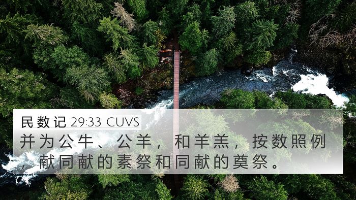 民 数 记 29:33 CUVS 4K Wallpaper - 并 为 公 牛 、 公 羊 ， 和 羊 羔 ， - 4K Wallpaper Bible Verse