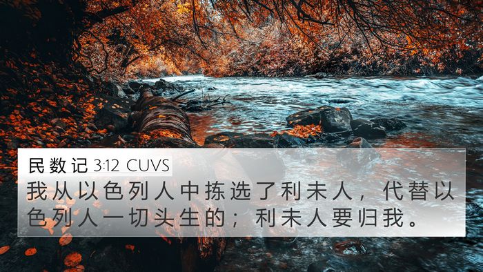 民 数 记 3:12 CUVS 4K Wallpaper - 我 从 以 色 列 人 中 拣 选 了 利 未 - 4K Wallpaper Bible Verse