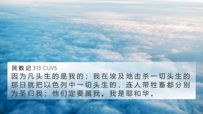 民 数 记 3:13 CUVS 4K Wallpaper - 因 为 凡 头 生 的 是 我 的 ； 我 在 - 4K Wallpaper Bible Verse