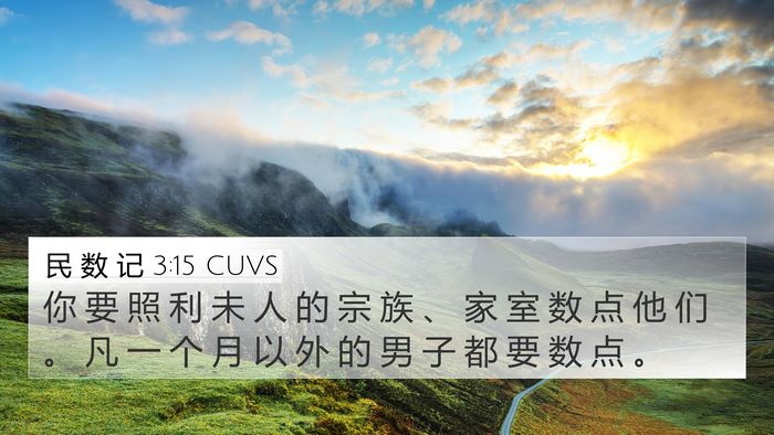 民 数 记 3:15 CUVS Bible Verse Image