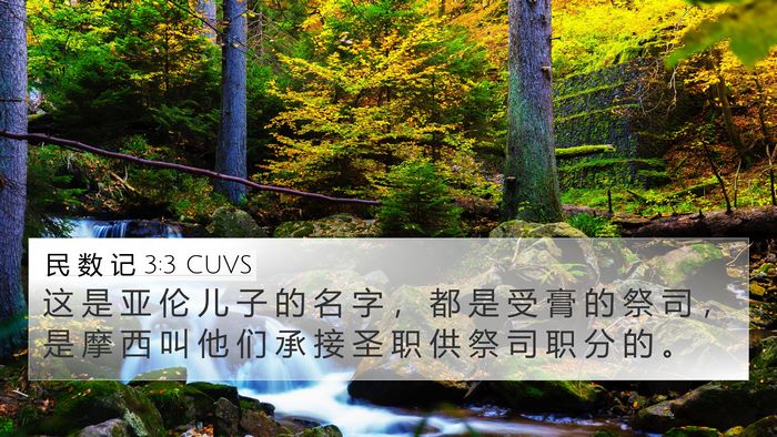 民 数 记 3:3 CUVS 4K Wallpaper - 这 是 亚 伦 儿 子 的 名 字 ， 都 是 - 4K Wallpaper Bible Verse