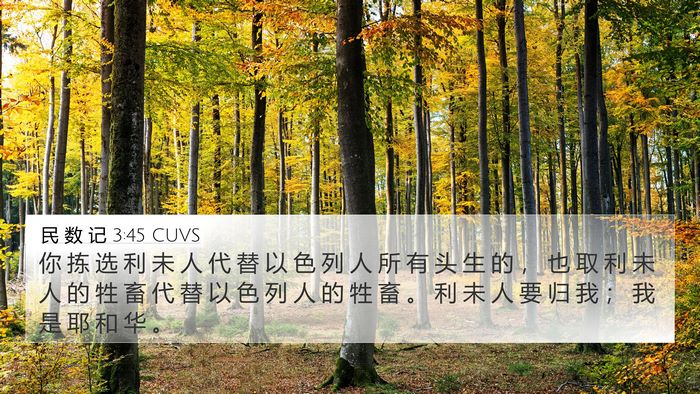 民 数 记 3:45 CUVS Bible Verse Image
