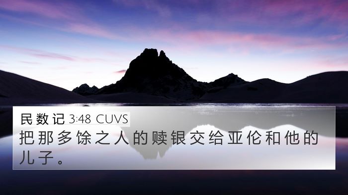 民 数 记 3:48 CUVS 4K Wallpaper - 把 那 多 馀 之 人 的 赎 银 交 给 亚 - 4K Wallpaper Bible Verse