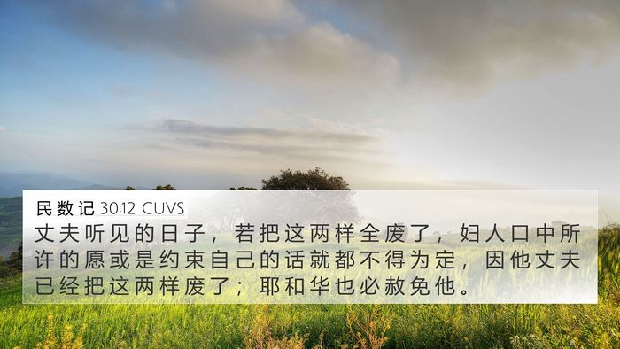 民 数 记 30:12 CUVS 4K Wallpaper - 丈 夫 听 见 的 日 子 ， 若 把 这 两 - 4K Wallpaper Bible Verse