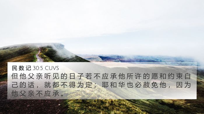 民 数 记 30:5 CUVS 4K Wallpaper - 但 他 父 亲 听 见 的 日 子 若 不 应 - 4K Wallpaper Bible Verse
