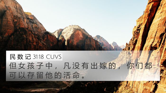民 数 记 31:18 CUVS 4K Wallpaper - 但 女 孩 子 中 ， 凡 没 有 出 嫁 的 - 4K Wallpaper Bible Verse