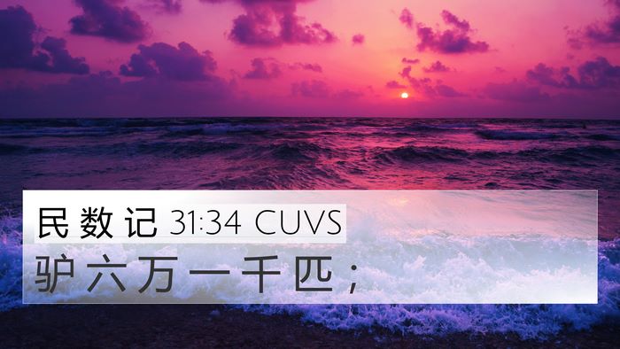 民 数 记 31:34 CUVS 4K Wallpaper - 驴 六 万 一 千 匹 - 4K Wallpaper Bible Verse