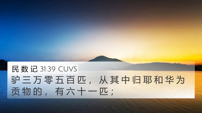 民 数 记 31:39 CUVS 4K Wallpaper - 驴 三 万 零 五 百 匹 ， 从 其 中 归 - 4K Wallpaper Bible Verse