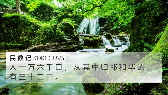 民 数 记 31:40 CUVS 4K Wallpaper - 人 一 万 六 千 口 ， 从 其 中 归 耶 - 4K Wallpaper Bible Verse