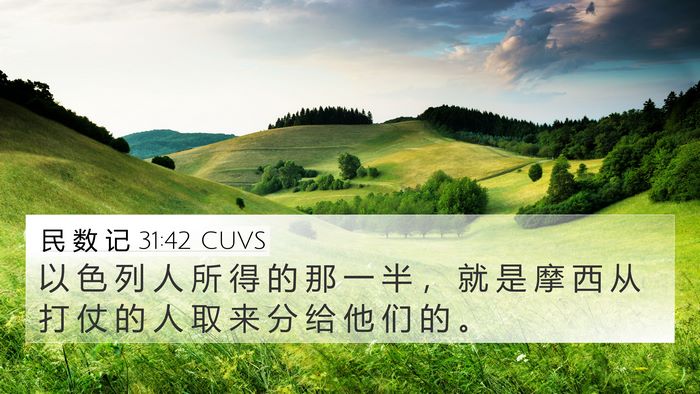 民 数 记 31:42 CUVS 4K Wallpaper - 以 色 列 人 所 得 的 那 一 半 ， 就 - 4K Wallpaper Bible Verse