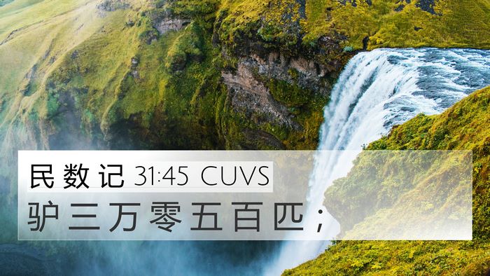 民 数 记 31:45 CUVS 4K Wallpaper - 驴 三 万 零 五 百 匹 - 4K Wallpaper Bible Verse