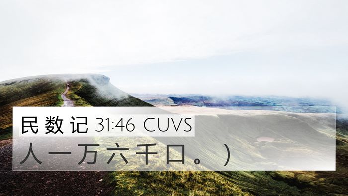 民 数 记 31:46 CUVS 4K Wallpaper - 人 一 万 六 千 口 。 - 4K Wallpaper Bible Verse