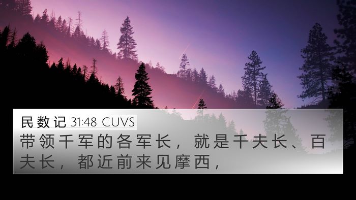 民 数 记 31:48 CUVS 4K Wallpaper - 带 领 千 军 的 各 军 长 ， 就 是 千 - 4K Wallpaper Bible Verse