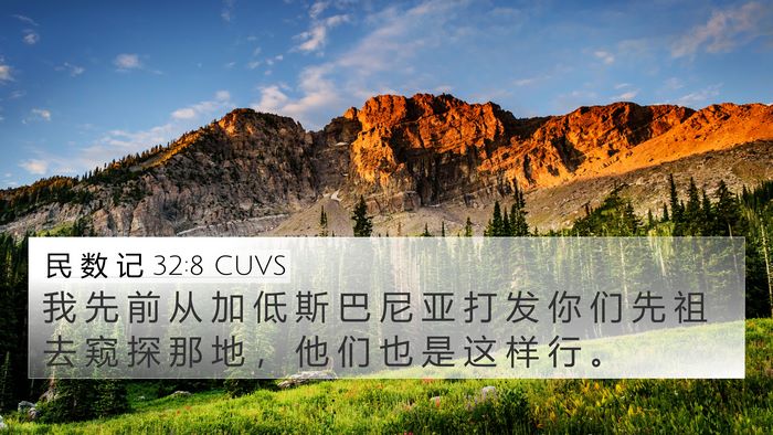 民 数 记 32:8 CUVS Bible Verse Image