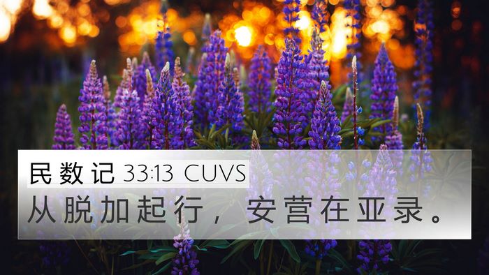 民 数 记 33:13 CUVS 4K Wallpaper - 从 脱 加 起 行 ， 安 营 在 亚 录 - 4K Wallpaper Bible Verse