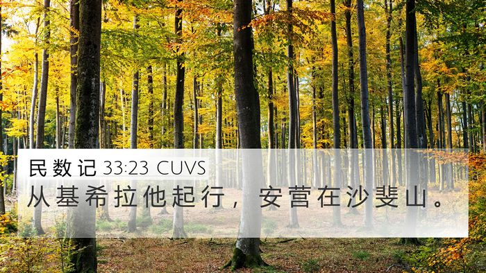 民 数 记 33:23 CUVS 4K Wallpaper - 从 基 希 拉 他 起 行 ， 安 营 在 沙 - 4K Wallpaper Bible Verse