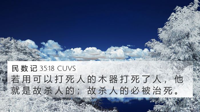 民 数 记 35:18 CUVS 4K Wallpaper - 若 用 可 以 打 死 人 的 木 器 打 死 - 4K Wallpaper Bible Verse