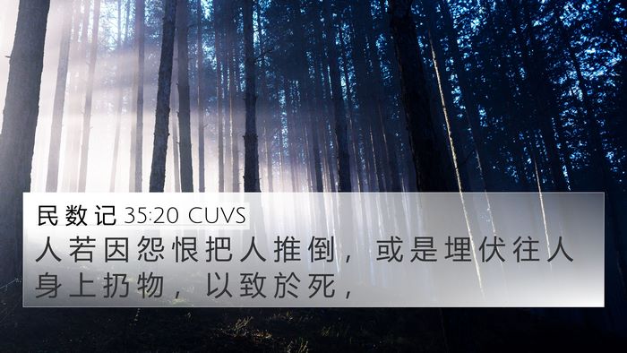 民 数 记 35:20 CUVS 4K Wallpaper - 人 若 因 怨 恨 把 人 推 倒 ， 或 是 - 4K Wallpaper Bible Verse