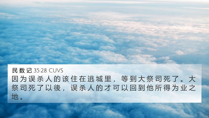 民 数 记 35:28 CUVS Bible Verse Image
