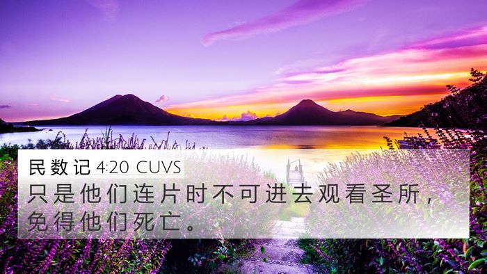 民 数 记 4:20 CUVS Bible Verse Image
