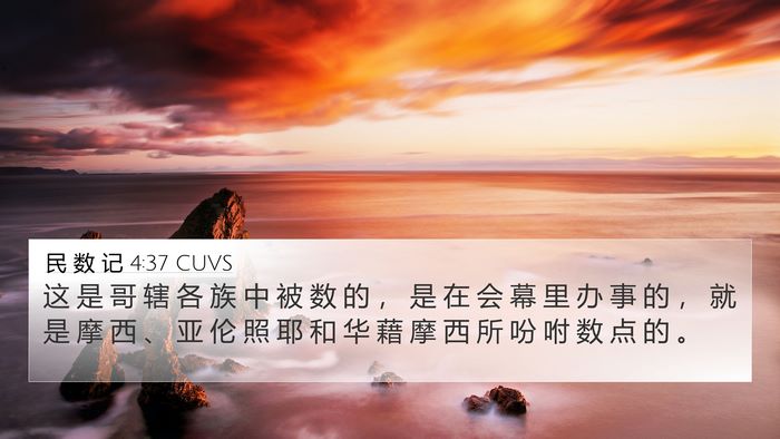民 数 记 4:37 CUVS Bible Verse Image