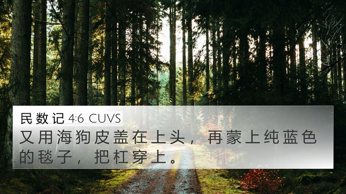 民 数 记 4:6 CUVS Bible Verse Image