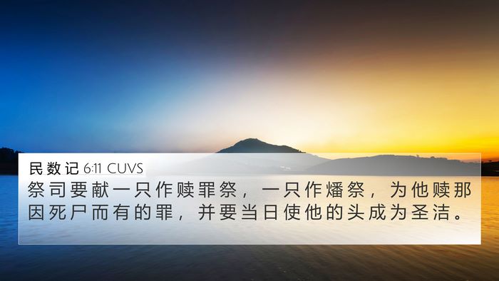 民 数 记 6:11 CUVS 4K Wallpaper - 祭 司 要 献 一 只 作 赎 罪 祭 ， 一 - 4K Wallpaper Bible Verse