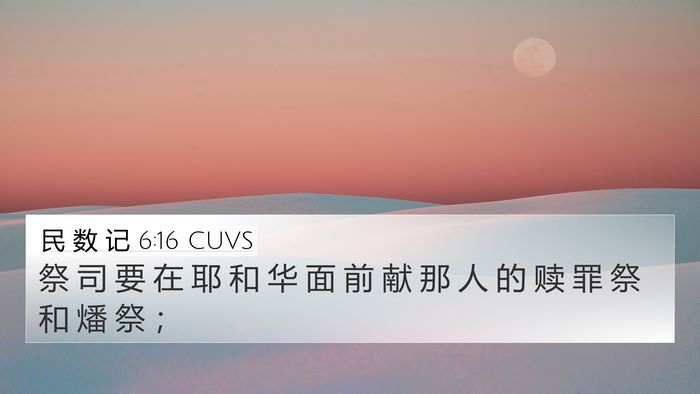 民 数 记 6:16 CUVS Bible Verse Image