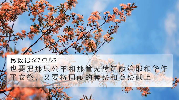 民 数 记 6:17 CUVS Bible Verse Image