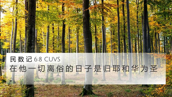 民 数 记 6:8 CUVS Bible Verse Image