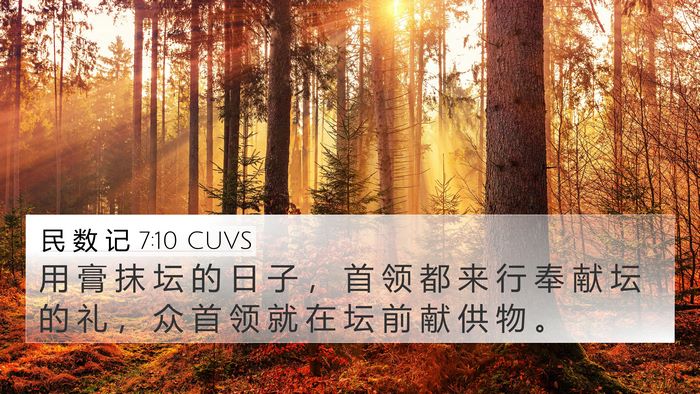 民 数 记 7:10 CUVS Bible Verse Image