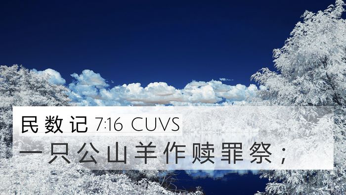 民 数 记 7:16 CUVS Bible Verse Image