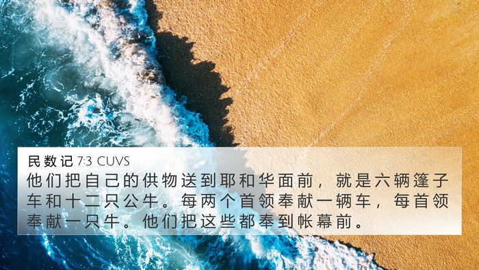 民 数 记 7:3 CUVS Bible Verse Image