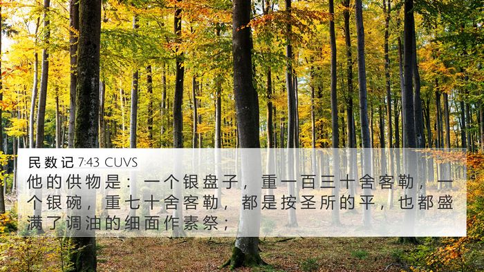 民 数 记 7:43 CUVS 4K Wallpaper - 他 的 供 物 是 ： 一 个 银 盘 子 ， - 4K Wallpaper Bible Verse