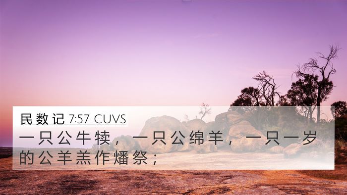 民 数 记 7:57 CUVS 4K Wallpaper - 一 只 公 牛 犊 ， 一 只 公 绵 羊 ， - 4K Wallpaper Bible Verse