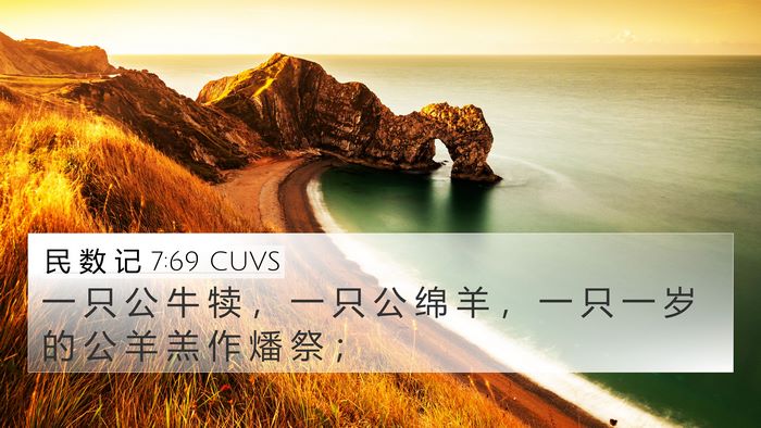 民 数 记 7:69 CUVS 4K Wallpaper - 一 只 公 牛 犊 ， 一 只 公 绵 羊 ， - 4K Wallpaper Bible Verse