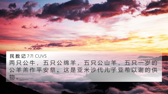 民 数 记 7:71 CUVS Bible Verse Image