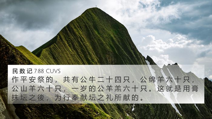 民 数 记 7:88 CUVS 4K Wallpaper - 作 平 安 祭 的 ， 共 有 公 牛 二 十 - 4K Wallpaper Bible Verse