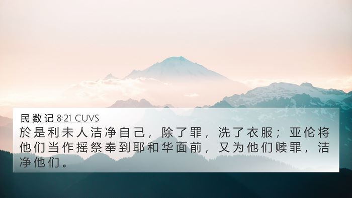 民 数 记 8:21 CUVS Bible Verse Image