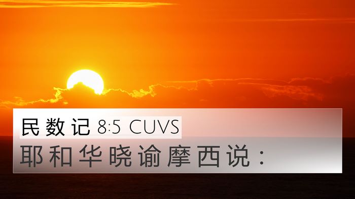 民 数 记 8:5 CUVS Bible Verse Image