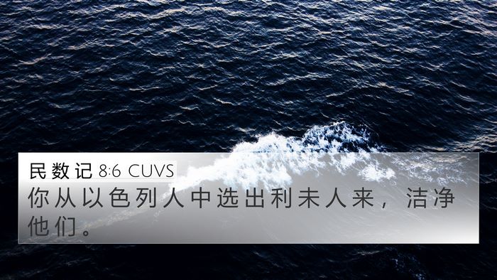 民 数 记 8:6 CUVS Bible Verse Image