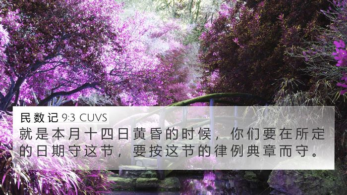民 数 记 9:3 CUVS Bible Verse Image